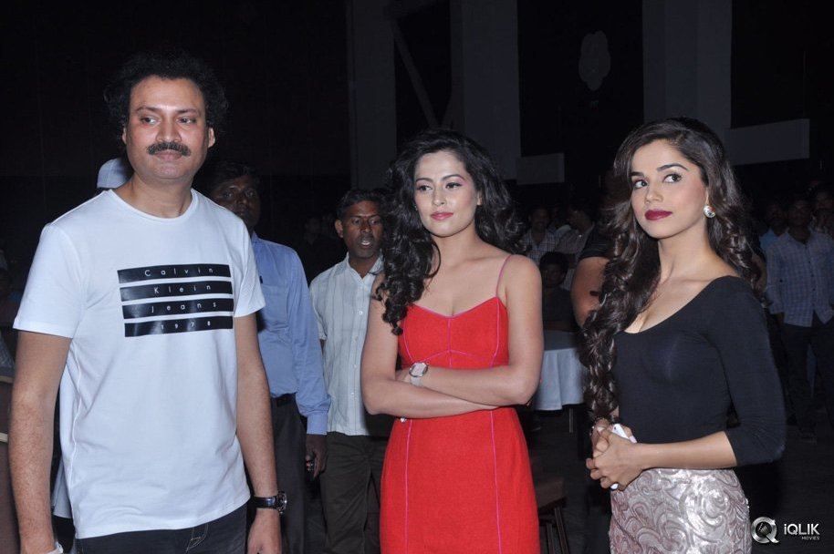 Control-C-Movie-Audio-Launch